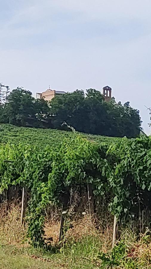 B&B I Tre Ulivi Morro dʼOro Eksteriør billede