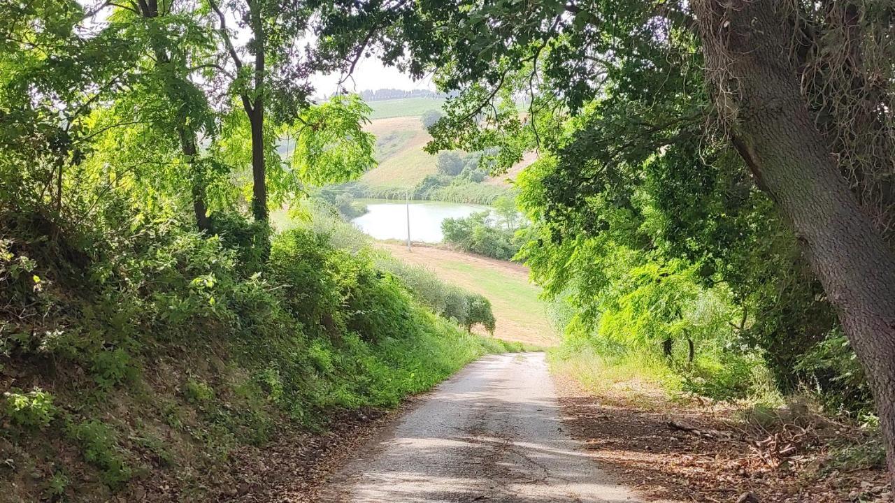 B&B I Tre Ulivi Morro dʼOro Eksteriør billede