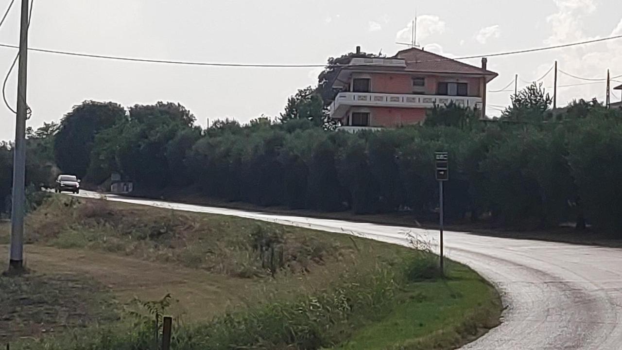 B&B I Tre Ulivi Morro dʼOro Eksteriør billede